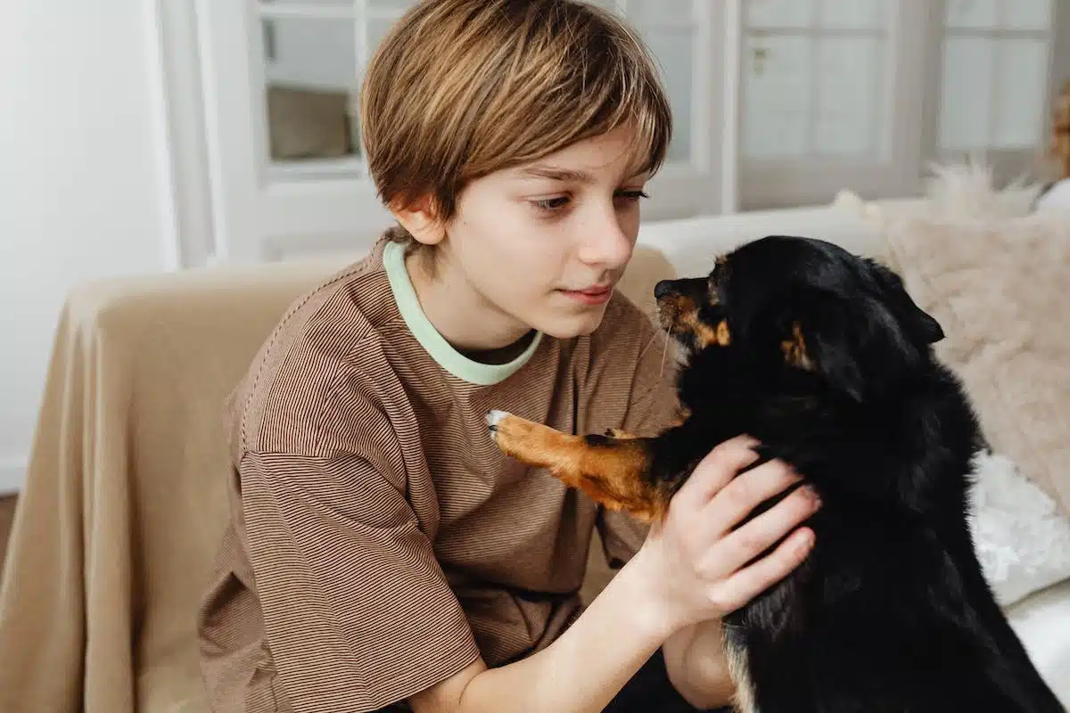 thérapie animale