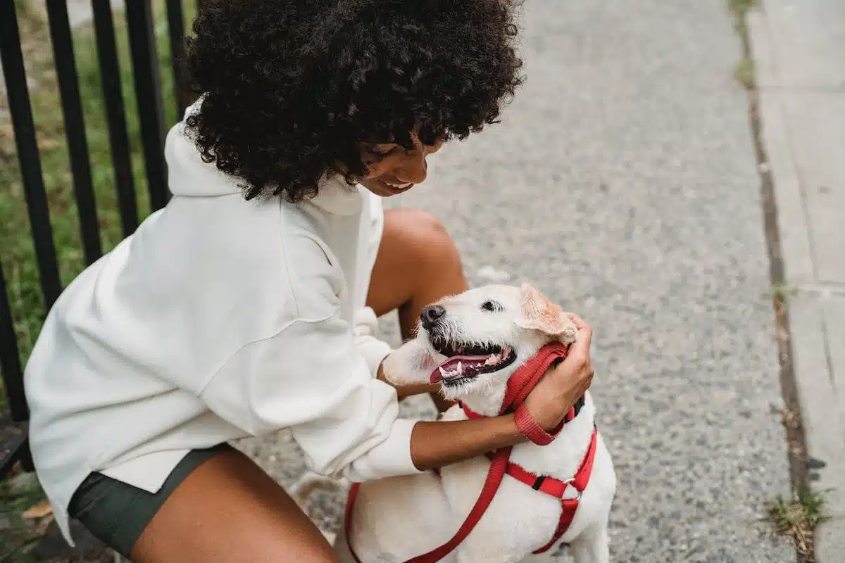 chien  lifestyle