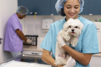Assurance animaux en France : pourquoi si peu de propriétaires franchissent le pas ?