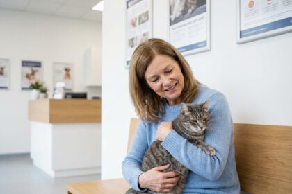 Femme avec chat gris dans une clinique veterinaire